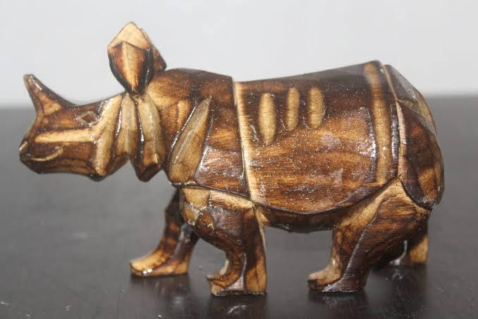 Rhino Momento